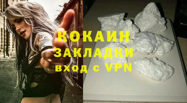 шишки Зеленодольск