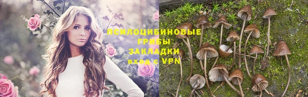 шишки Зеленодольск