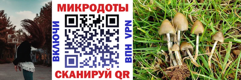 Купить закладки  Бирюсинск  Галлюциногенные грибы Psilocybine cubensis 